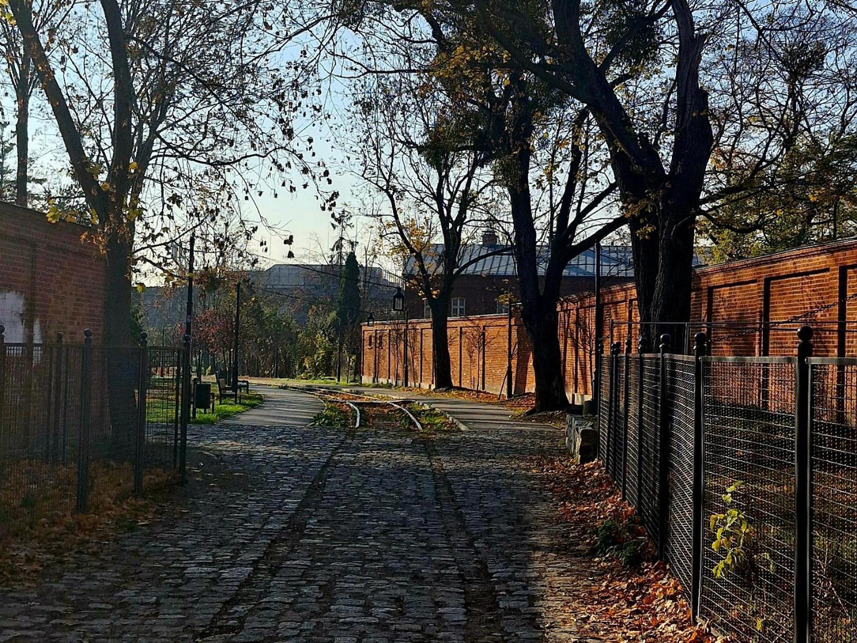 Przytulny Przy Ksiezym Mlynie- Garaz- Klimatyzacja Apartment *